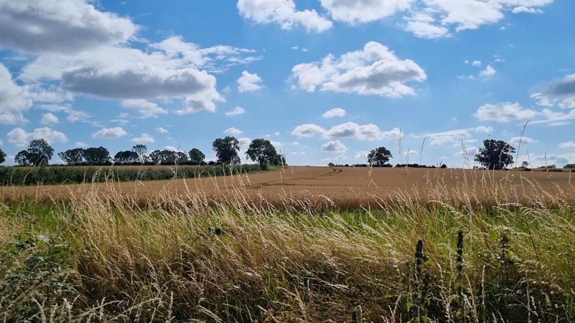 A Quiet Gem Just Outside Oundle Apartment ภายนอก รูปภาพ